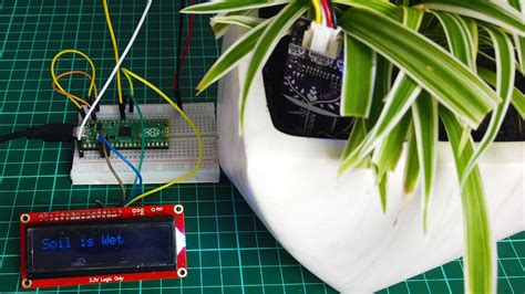 soil humidity sensor raspberry pi